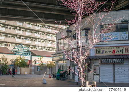 東京都北區赤羽站/赤羽北赤羽出口前的風景 東京都北區赤羽站/赤羽北赤羽出口前的風景 77404646