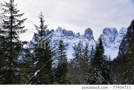 Pines and Crystal Pines and Crystal 77404713