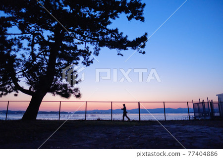 哈馬納湖，本田島的夜景 77404886