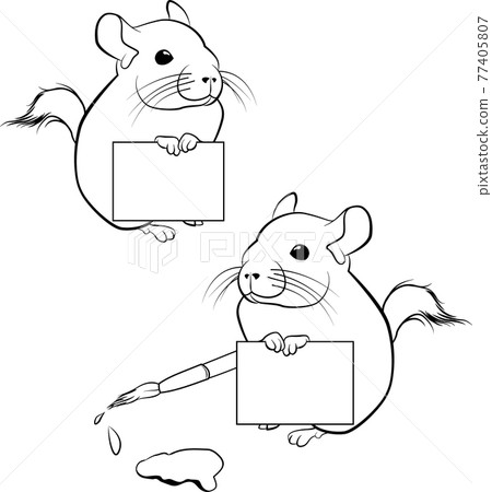 cute chinchilla with paper poster vector outline - black and white illustration 77405807