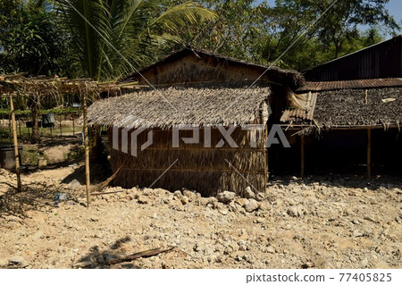 Poor area in Yangon, Myanmar Dala Dala Village Slums Dala Town 77405825