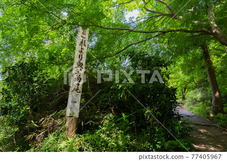 Okuta Takao 77405967