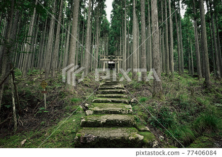 Kyoto Keihoku Kamo Shrine, which is called the entrance to another world 77406084