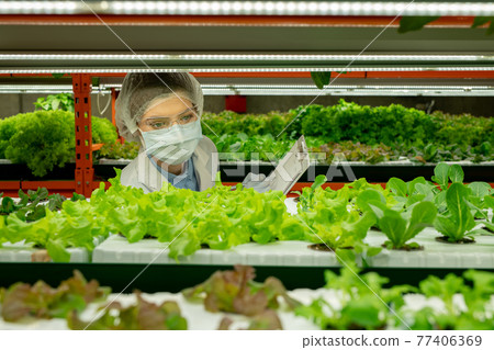 Vertical farm worker controlling growth of seedlings 77406369