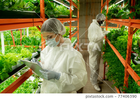 Woman making notes about leaves at vertical farm Woman making notes about leaves at vertical farm 77406390