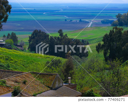從卡莫納看到的平原 77409271