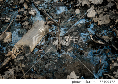 Environment and plastic garbage in woodland. Rubbish trash, waste in forest. Ecological problem with Empty used bottles of big city. 77409372