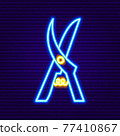 Neon Garden Secateurs Icon 77410867