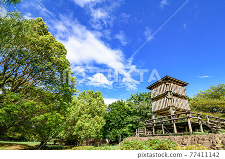 （埼玉）夏日天空和公園展望台 77411142