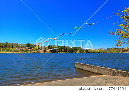 Fresh green Tokura Lake Fresh green Tokura Lake 77411364