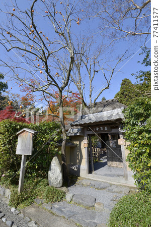 京都市嵯峨野市秋樂師社 77411577