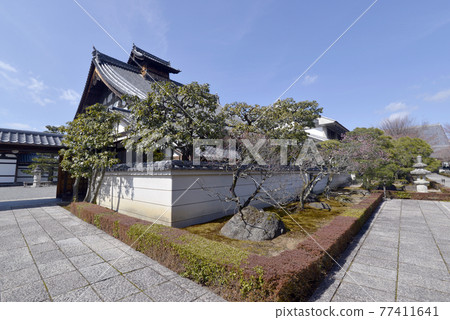 京都市速國寺九里 京都市速國寺九里 77411641