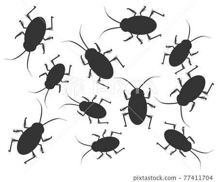 Illustration of a large number of cockroaches Illustration of a large number of cockroaches 77411704