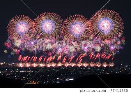 [夏季圖片]煙花匯演 77411886