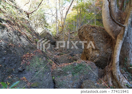南台山登山步道 南台山登山步道 77411941