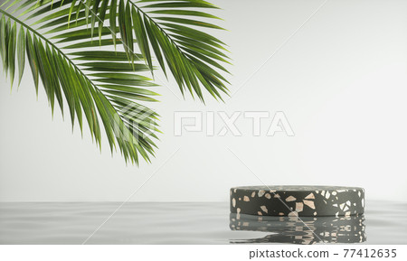 Modern Minimal Platform Black Terrazzo Stone On Water Ripple With Palm Leaf And White Background 3d render Modern Minimal Platform Black Terrazzo Stone On Water Ripple With Palm Leaf And White Background 3d render 77412635