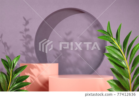 Modern Minimal Pink Platform With Sunlight Shadow Plant On Purple Concrete Wall Abstract Background 3d render Modern Minimal Pink Platform With Sunlight Shadow Plant On Purple Concrete Wall Abstract Background 3d render 77412636
