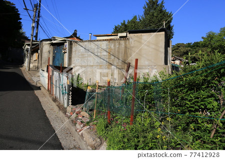 城北區、正陵谷、小巷、漢堡花 77412928