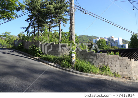 Seongbuk-gu. Jeongneung-gol. Alley. Hampak Flower Seongbuk-gu. Jeongneung-gol. Alley. Hampak Flower 77412934