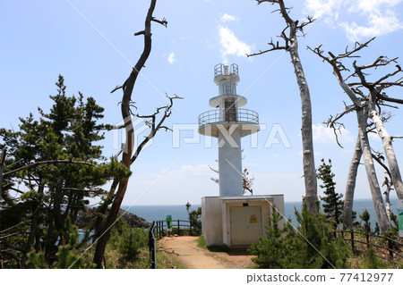 氣仙沼大島龍舞崎燈塔 氣仙沼大島龍舞崎燈塔 77412977