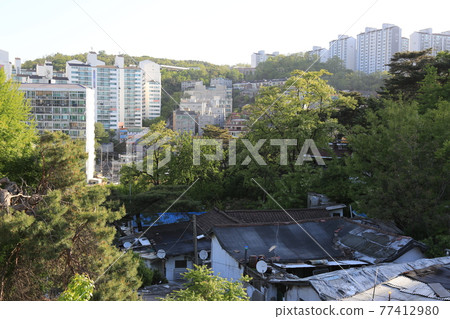 Seongbuk-gu. Jeongneung-gol. Alley. Hampak Flower Seongbuk-gu. Jeongneung-gol. Alley. Hampak Flower 77412980