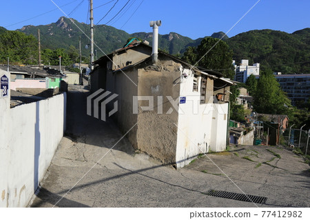 城北區、正陵谷、小巷、漢堡花 城北區、正陵谷、小巷、漢堡花 77412982