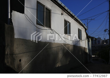 Seongbuk-gu. Jeongneung-gol. Alley. Hampak Flower Seongbuk-gu. Jeongneung-gol. Alley. Hampak Flower 77412987
