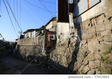 Seongbuk-gu. Jeongneung-gol. Alley. Hampak Flower Seongbuk-gu. Jeongneung-gol. Alley. Hampak Flower 77413003