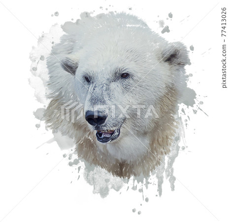 Digital Painting of Polar Bear 77413026