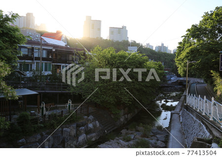 Seongbuk-gu. Jeongneung-gol. Alley. Hampak Flower 77413504