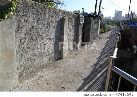 Seongbuk-gu. Jeongneung-gol. Alley. Hampak Flower Seongbuk-gu. Jeongneung-gol. Alley. Hampak Flower 77413542