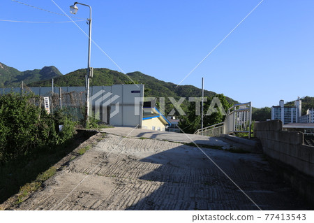 Seongbuk-gu. Jeongneung-gol. Alley. Hampak Flower Seongbuk-gu. Jeongneung-gol. Alley. Hampak Flower 77413543