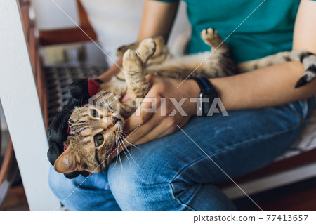 Man grooming cat with special gloves. Pet care. Man grooming cat with special gloves. Pet care. 77413657