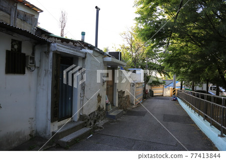 Seongbuk-gu. Jeongneung-gol. Alley. Hampak Flower 77413844