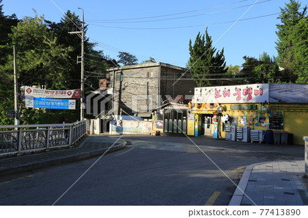 Seongbuk-gu. Jeongneung-gol. Alley. Hampak Flower 77413890