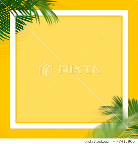 夏季棕櫚葉黃色背景 — 有多種變化 77413900