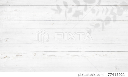 Background composed of white wooden walls and eucalyptus leaves-there are multiple variations 77413921