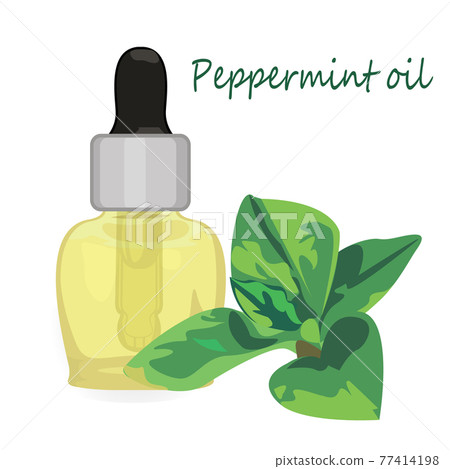 Peppermint essential oil vector illustration Aromatherapy Peppermint essential oil vector illustration Aromatherapy 77414198