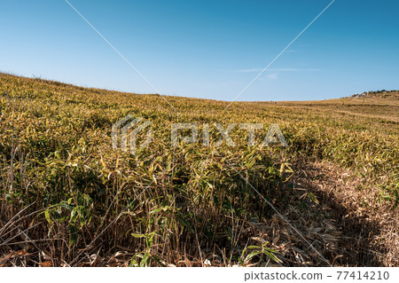【自然景觀】藍天下的四國喀斯特草原 【自然景觀】藍天下的四國喀斯特草原 77414210
