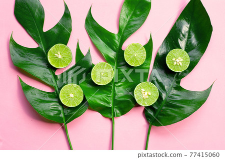 Fresh limes with green leaves on pink background. 77415060