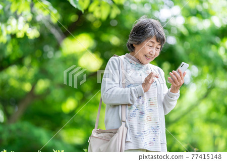 A senior woman who operates a smartphone, an old woman who touches a smartphone outdoors 77415148