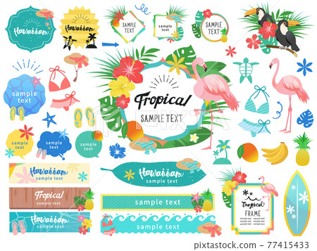 Hawaiian frame illustration set of everlasting summer / no background 77415433