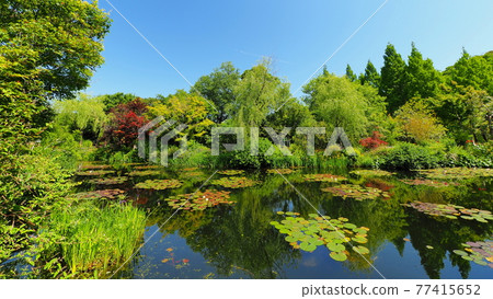 Kitagawa Village Monet's Garden 4 77415652