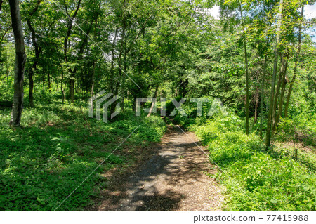 東京西多摩區瑞穗町六堂山公園和展望台 東京西多摩區瑞穗町六堂山公園和展望台 77415988