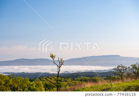 A landscape of Aso grasslands with a refreshing early summer sea of clouds A landscape of Aso grasslands with a refreshing early summer sea of clouds 77416118