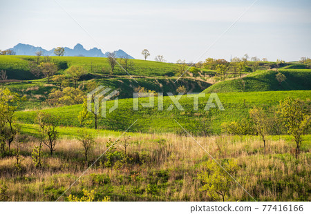 A landscape of Aso grasslands with a refreshing early summer sea of clouds 77416166