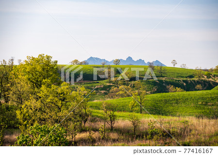 A landscape of Aso grasslands with a refreshing early summer sea of clouds 77416167