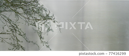 small flower with line white wall banner background small flower with line white wall banner background 77416299