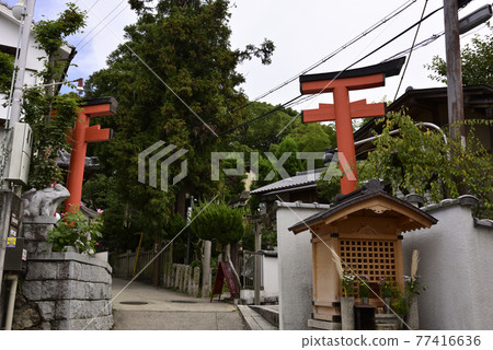 Fushimi Inari Taisha Shrine (Maaki Torii) Fushimi Inari Taisha Shrine (Maaki Torii) 77416636