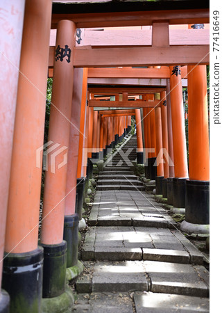 Fushimi-Inari Taisha Shrine Torii Torii 77416649